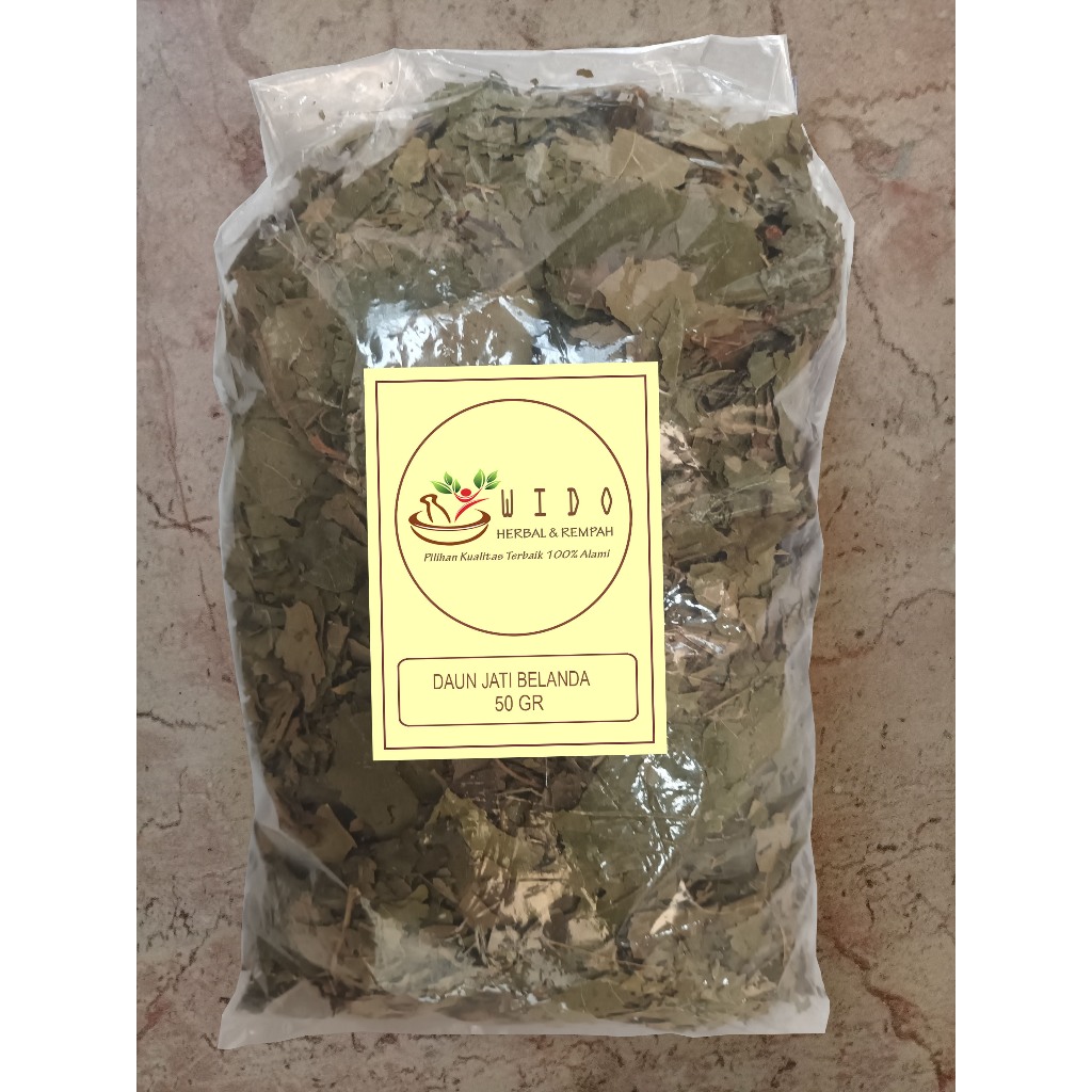 

Termurah Daun Jati Belanda 50 gr 50 gram