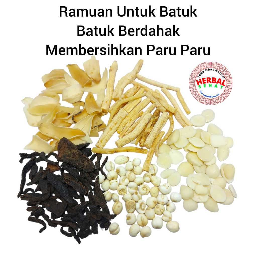 

Membersihkan Paru Paru / Untuk Batuk / Batuk Berdahak