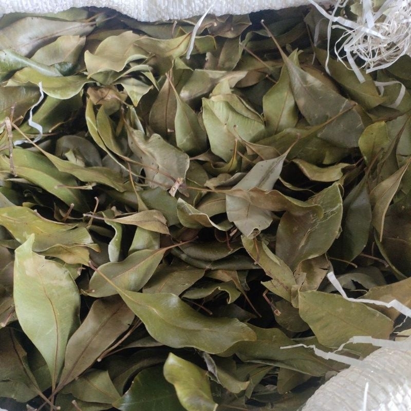 

daun cengkeh kering 1 kg