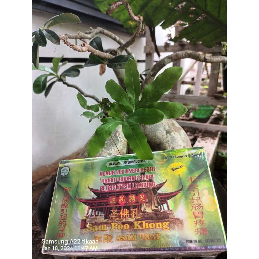 

SAM POO KONG serbuk/bubuk/jamu