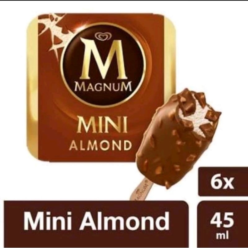 

Wall's ice cream Magnum mini isi 6 pcs
