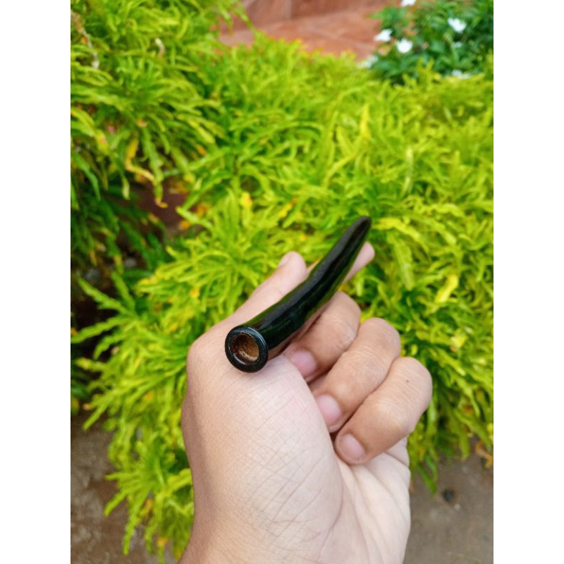 Pipa Once Padudan Akar Bahar Tali arus Panjang 12 cm Premium