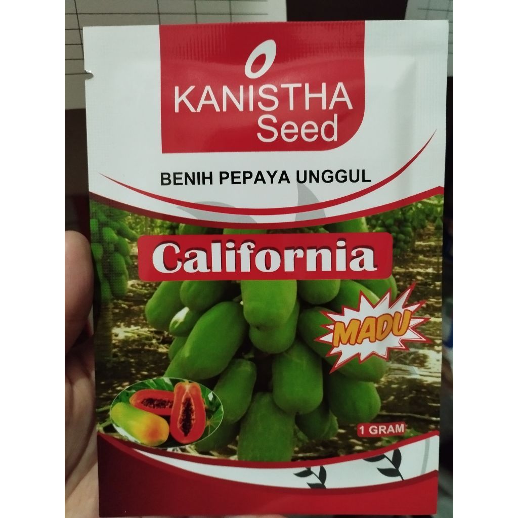 Benih Pepaya Unggul California Madu