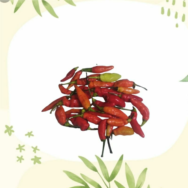 

Cabe Rawit Merah 100 gr