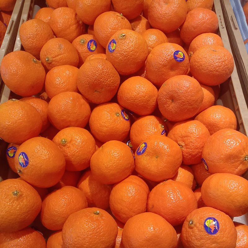 

JERUK MURCOT AUSSIE 900-1000gr