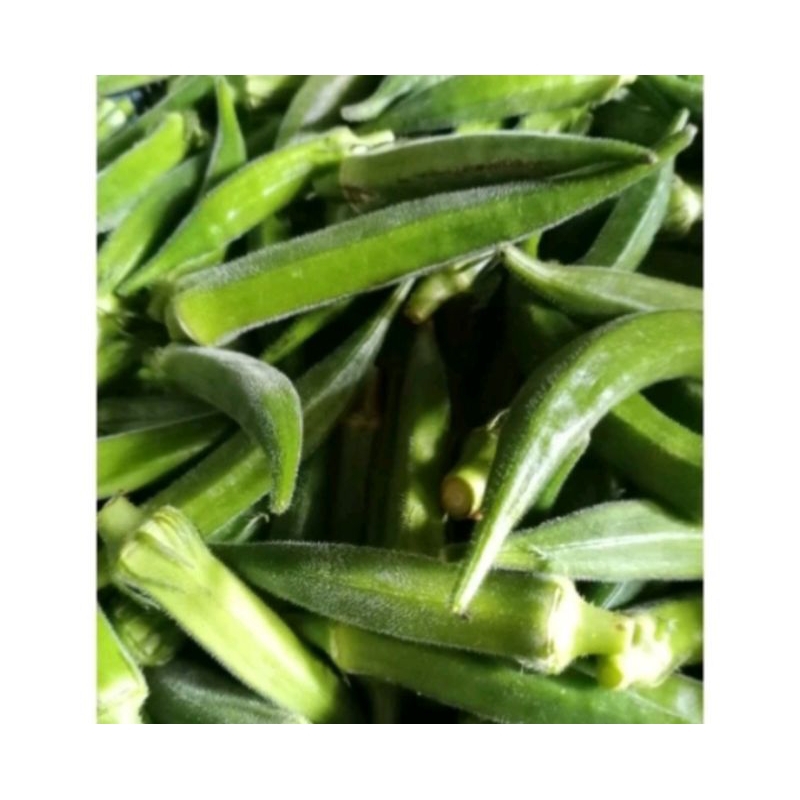 

okra,sayur okra segar 1kg