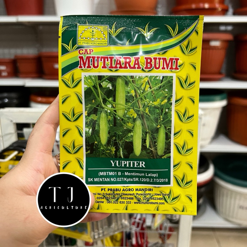 Benih Timun Lalap Yupiter 20gr Mutiara Bumi