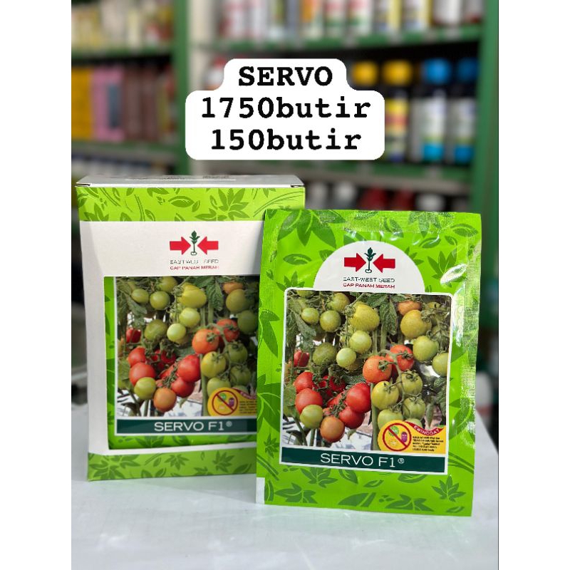 BENIH BIBIT PANAH MERAH TOMAT SERVO 1750 butir