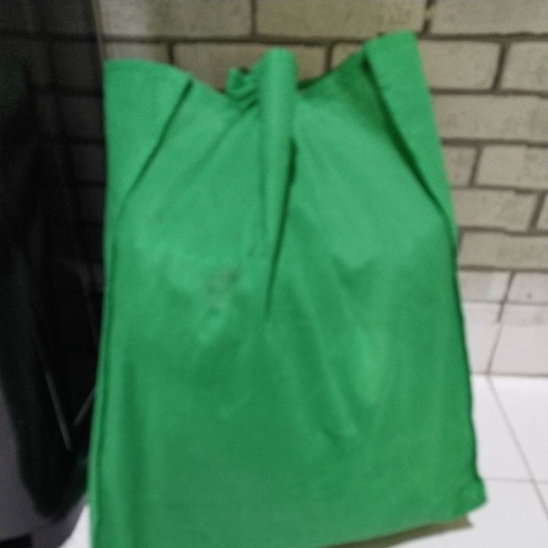 

kerupuk ikan nasi