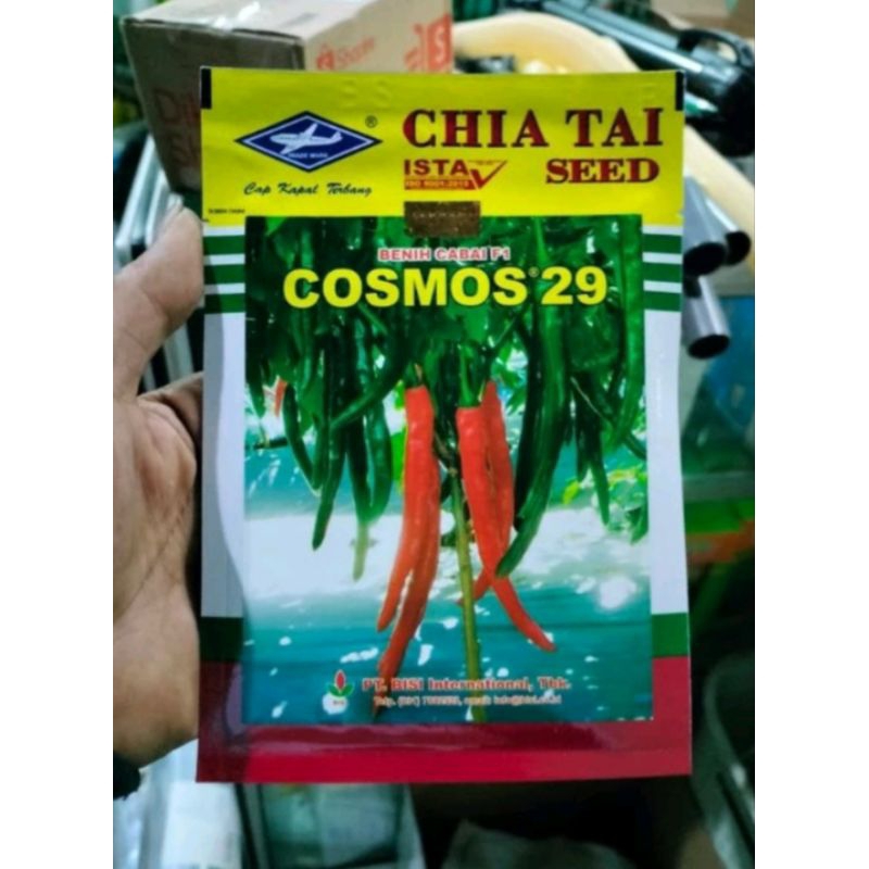 bibit cabai besar cosmos 29 bisi kapal terbang