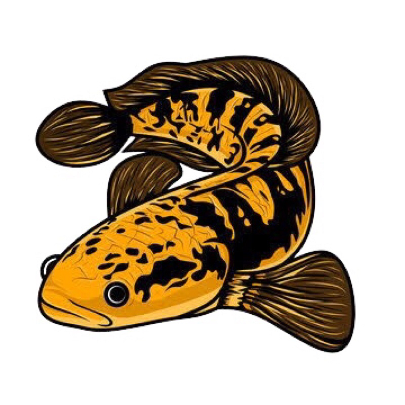 sticker chana MARU YS SINGGELTANK