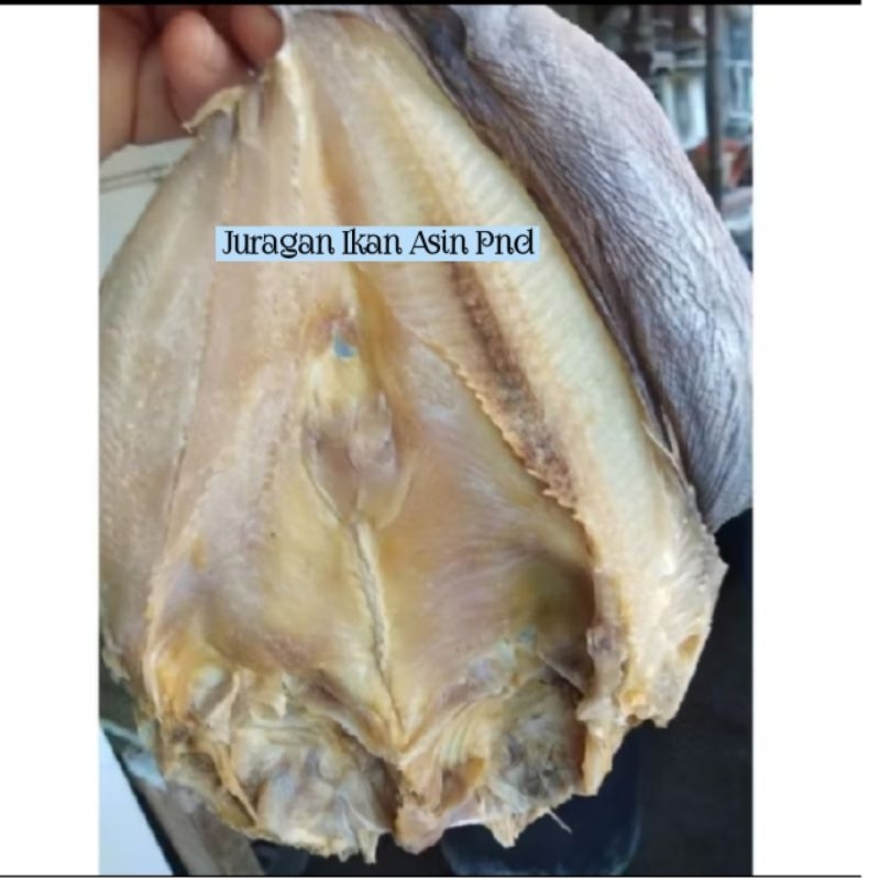 

Ikan Asin Jambal Roti Oleh Oleh Khas Pangandaran