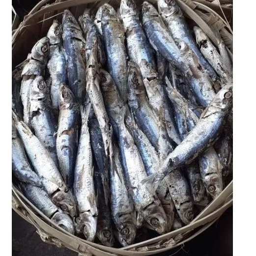 

Ikan Rebus Dencis 1 kg 100 gram