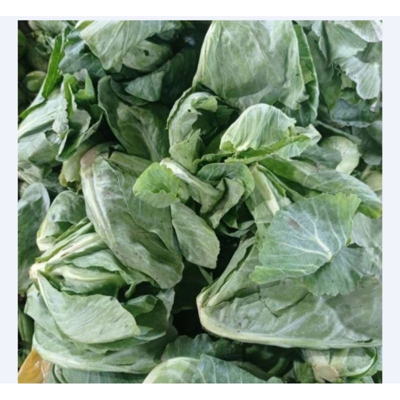 

TUNAS KOL