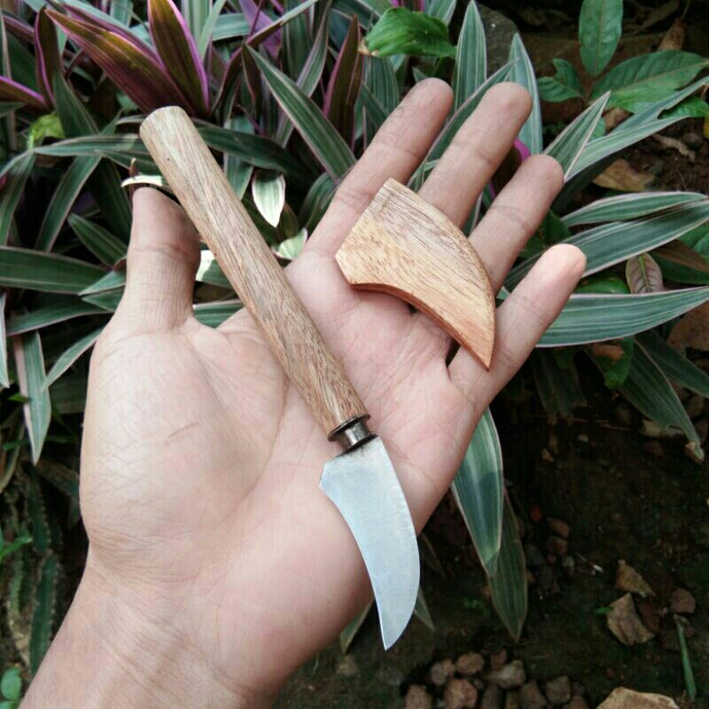 Pisau Serut Bambu Pisau Serut Pisau okulasi
