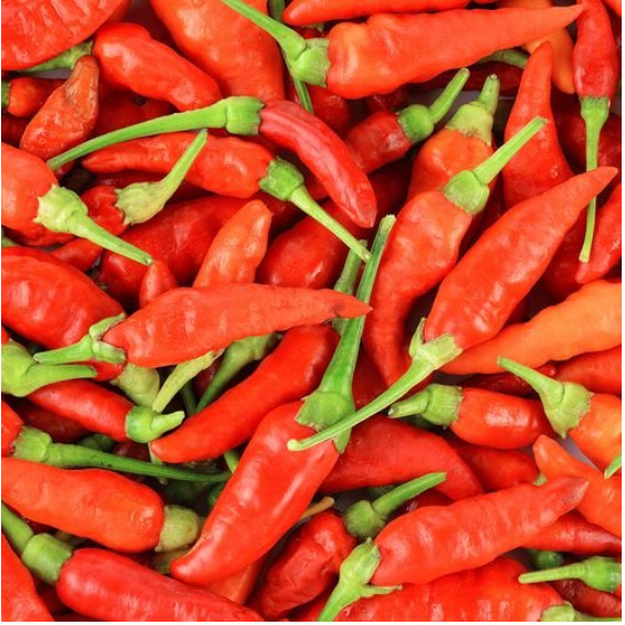 

Cabe Jablay cabai merah segar murah cikarang utara cabe jablay merah
