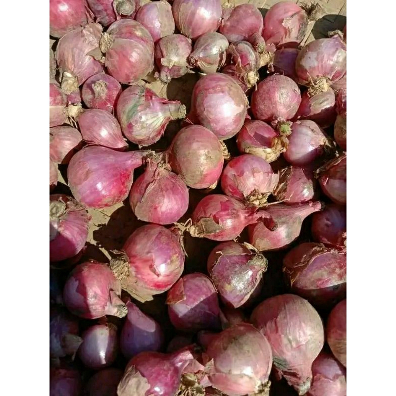 

Bawang merah 1kg