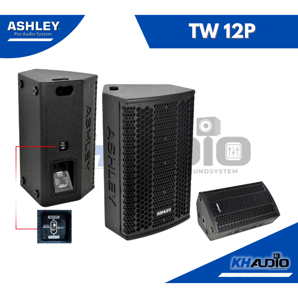 Speaker Pasif ASHLEY TW 12P TW12P TW12 P 12inch Original