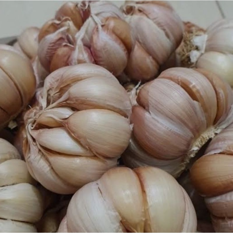 

Bawang Putih 250 gram