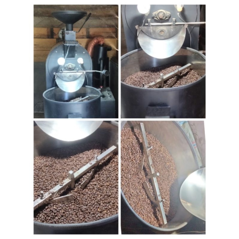 

GREEN BEAN ARABIKA GAYO (Honey Process)