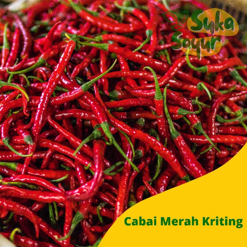 

cabe merah kriting 100 g