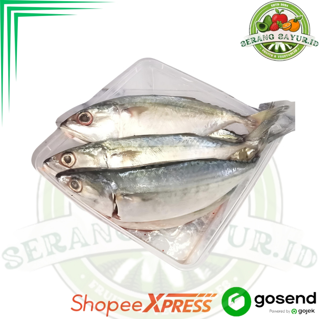 

IKAN KEMBUNG BANJAR 500 GR - 1 KG | SayurInstan