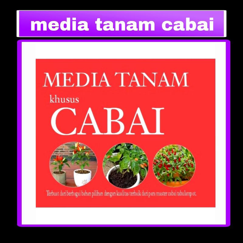Media Tanam Khusus Cabai Siap Pakai Untuk Cabai Dalam Pot Atau Polybag