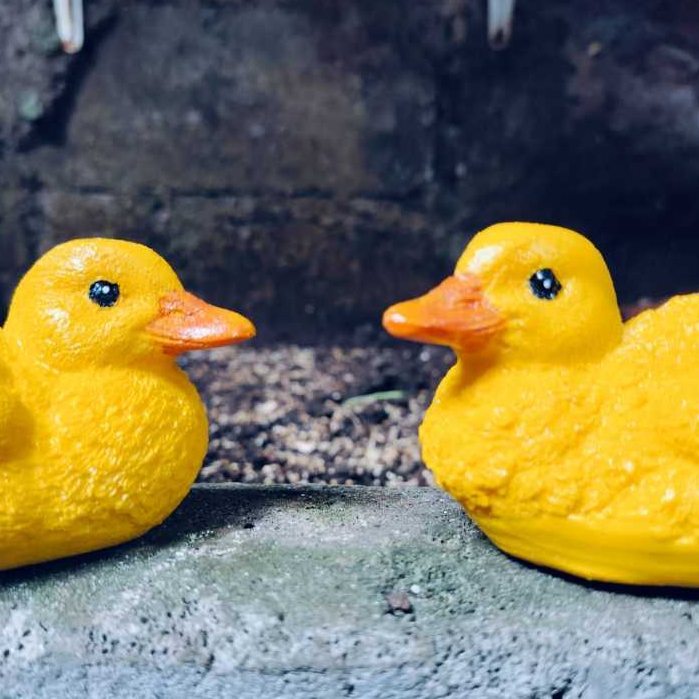 Sepasang Patung Anak Bebek Entog Soang