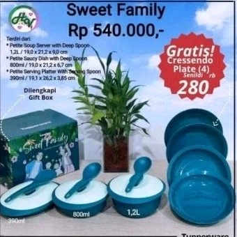 wadah prasmanan sweet family set Tupperware