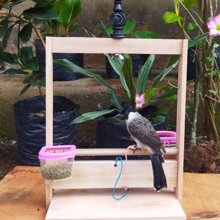 Best  Sangkar Layang COD Burung Kutilang Trucuk Perkutut Burung Peliharaan Kandang Burung Tali Burun