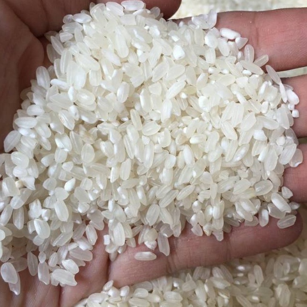 

NEW PROMO Beras selep original 1 kg