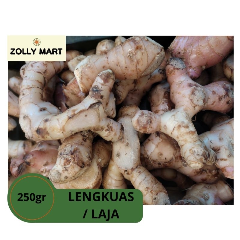 

ZOLLY MART - LENGKUAS SEGAR / LAJA SEGER / LENGKUAS LAOS - 250gr