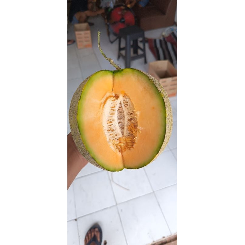 

Rock melon (Melon Orange)