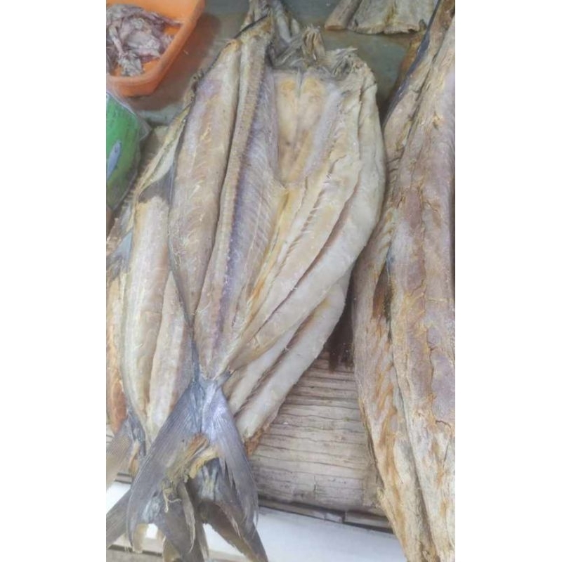 

Ikan Asin Tenggiri (Perekor)