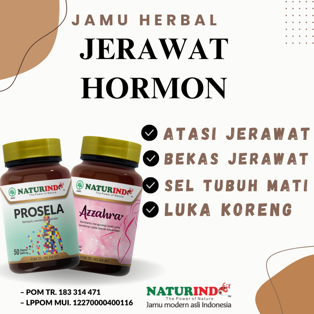Obat Jerawat Hormonal Jerawat Batu Bekas Jerawat Batu Bernanah Tubuh Bekas Jerawat Herbal