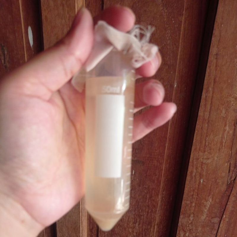 

STARTER NATA DECOCO 50ML+ZA -+30gr