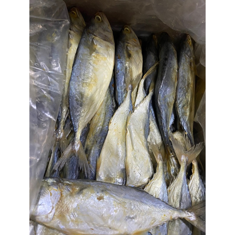 

ikan asin peda putih jumbo 1kg