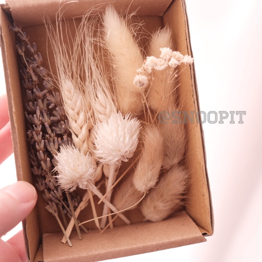 

Potongan Dried flower prakarya kerajinan tangan scrapbook DIY hiasan kartu dekorasi craft gift birthday