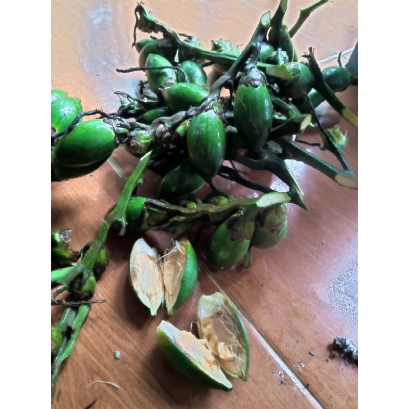 

Buah pinang muda segar 1kg