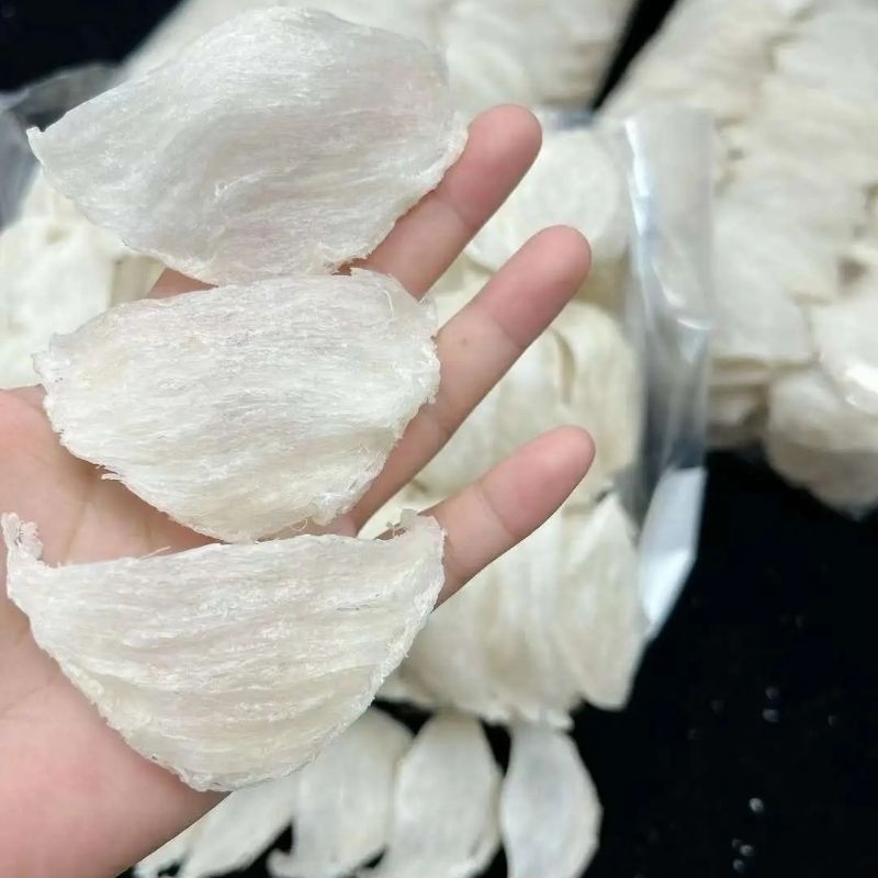 

sarang burung walet sudut ori siap olah
