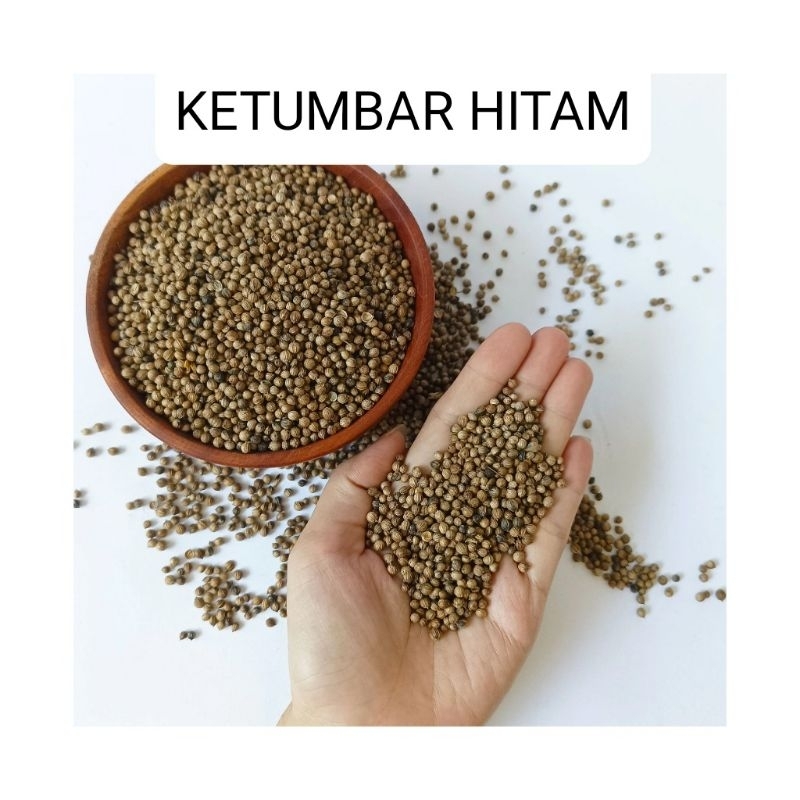 

KETUMBAR HITAM/TEH KETUMBAR HITAM ALAMI TANPA PEMUTIH/ ATASI KANGKER, DARAH TINGGI, STROKE, JANTUNG/BUMBU MASAK