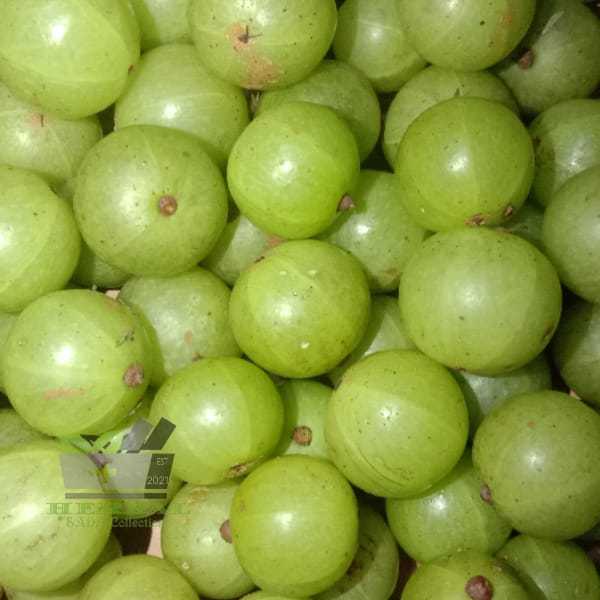 

Promo Jual Buah Segar Amla Malaka fresh petik