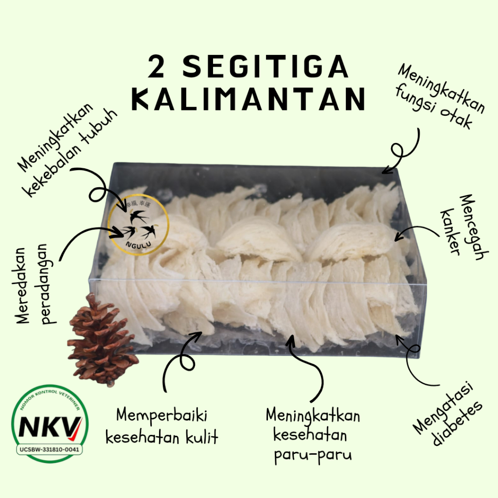 

Sarang Burung Walet II Segitiga Kalimantan Siap Masak