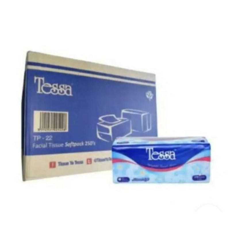 TESSA TISU 250S 2PLY 1 DUS/KARTON ISI 40