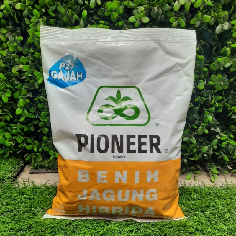 Benih Jagung Hibrida Pioneer 27 Gajah 1 kg