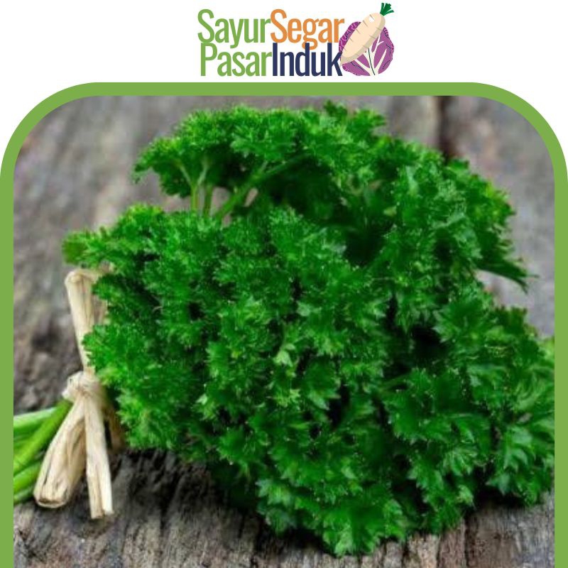 

Parsley 1kg Peterselly Bandungan sayursegarpasarinduk