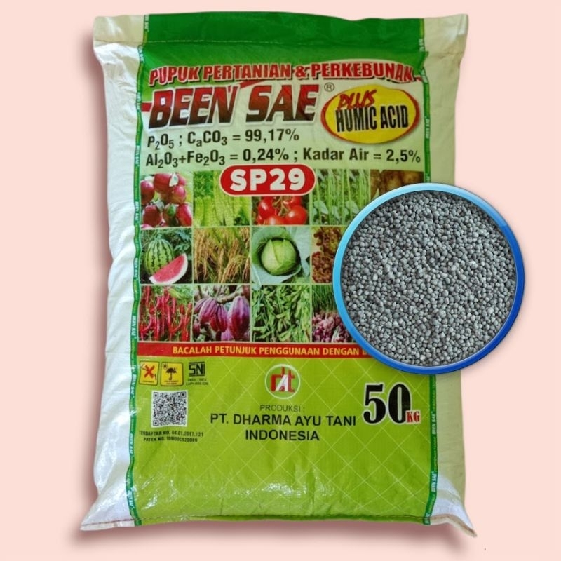 PUPUK SP 29 BEEN SAE ORIGINAL 1SAK 50KG