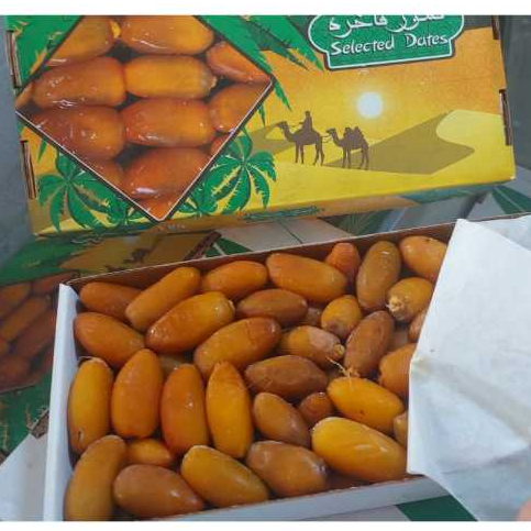 

KURMA RUTAB LIBYA 1kg ASLI NO.1