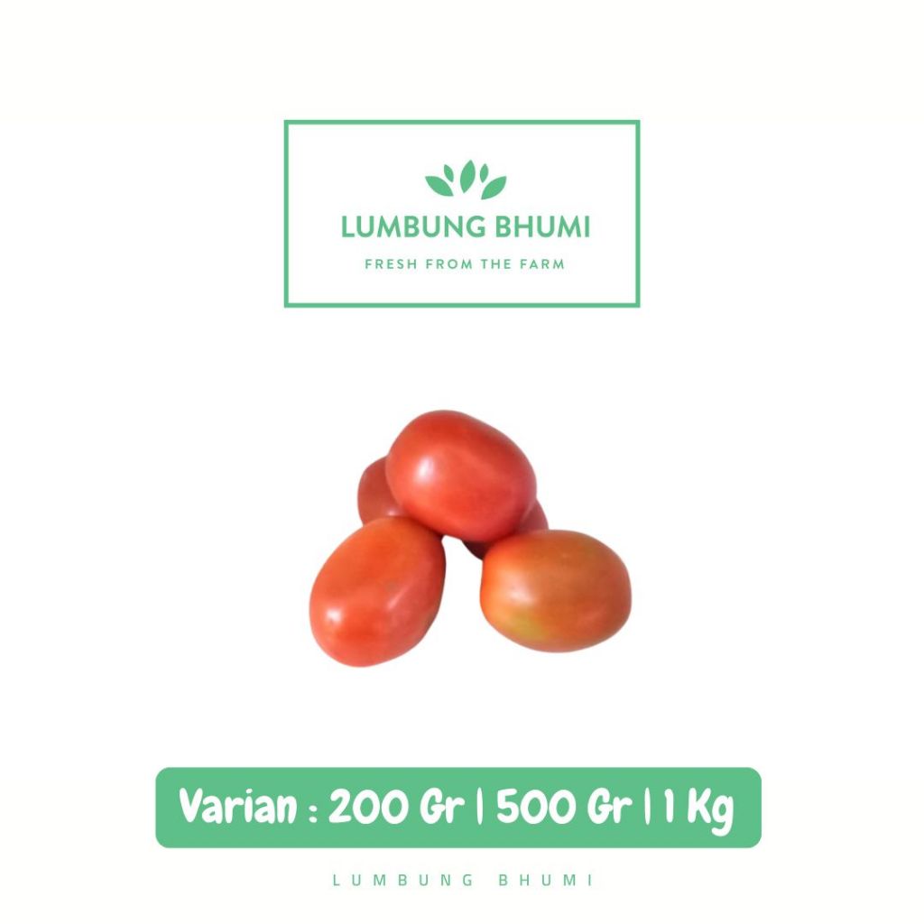 

Tomat TW Besar Sayur - Lumbung Bhumi
