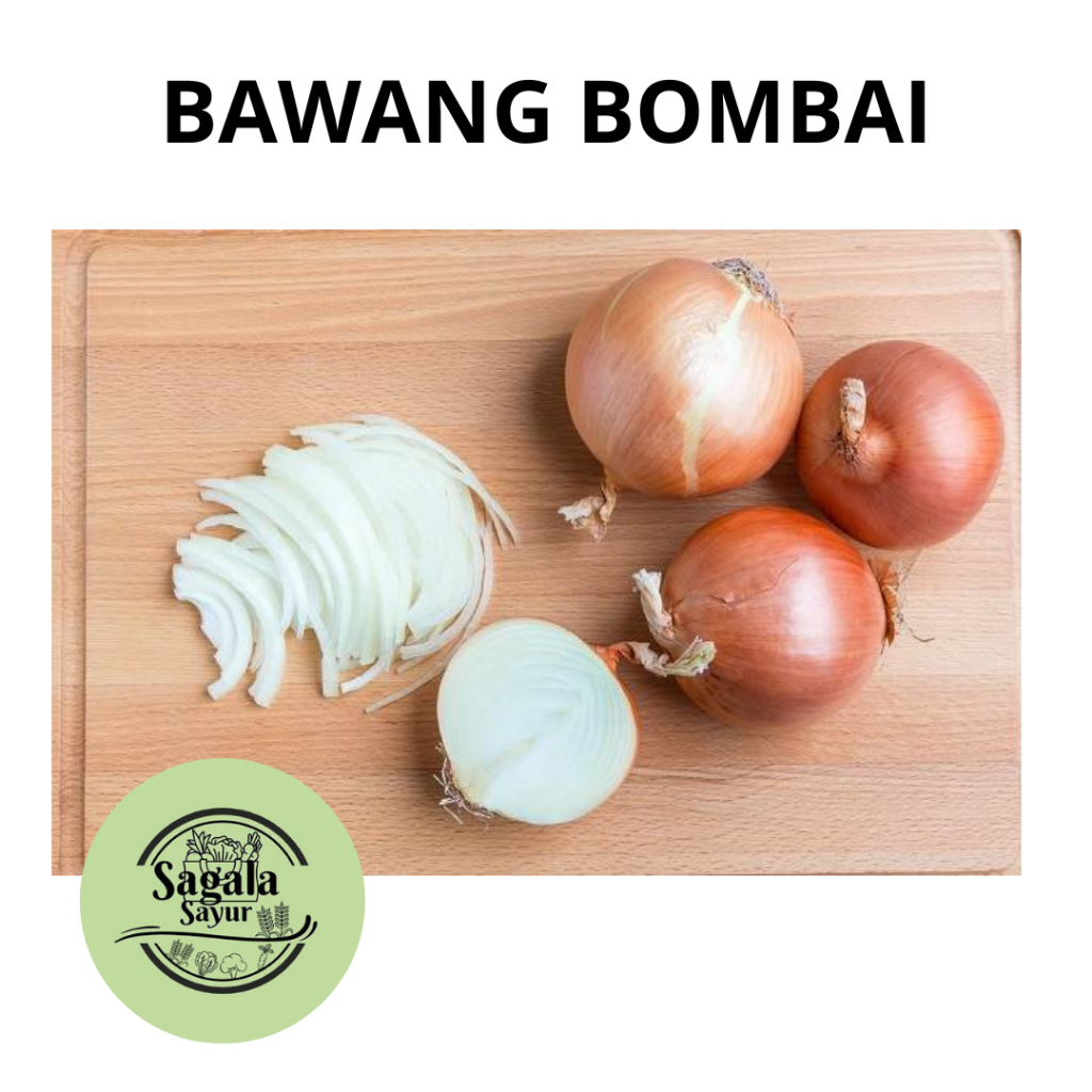 

Bawang bombay / bumbu dapur/ bahan masakan